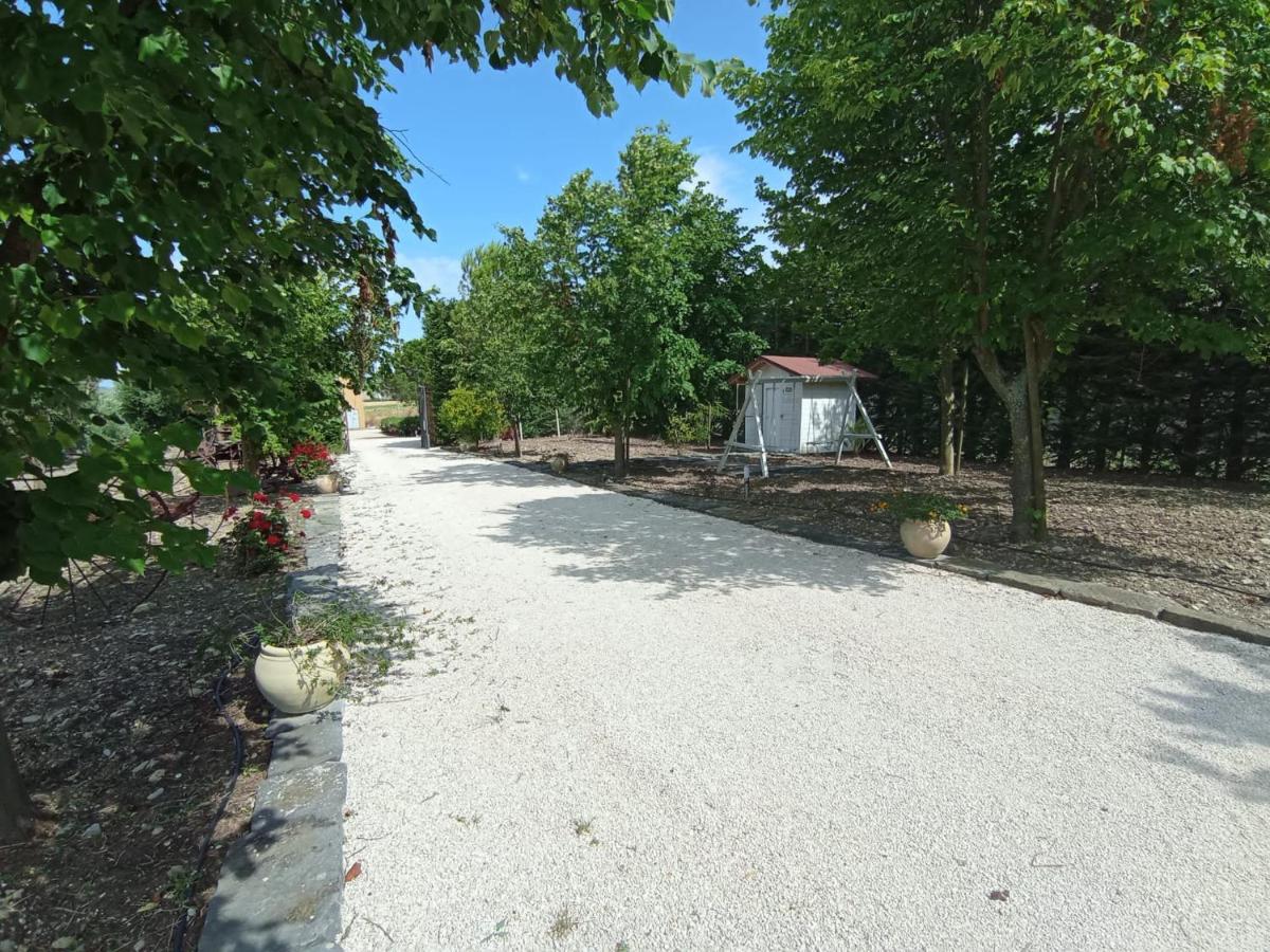 Tenuta Viale Degli Ulivi San Martino in Pensilis