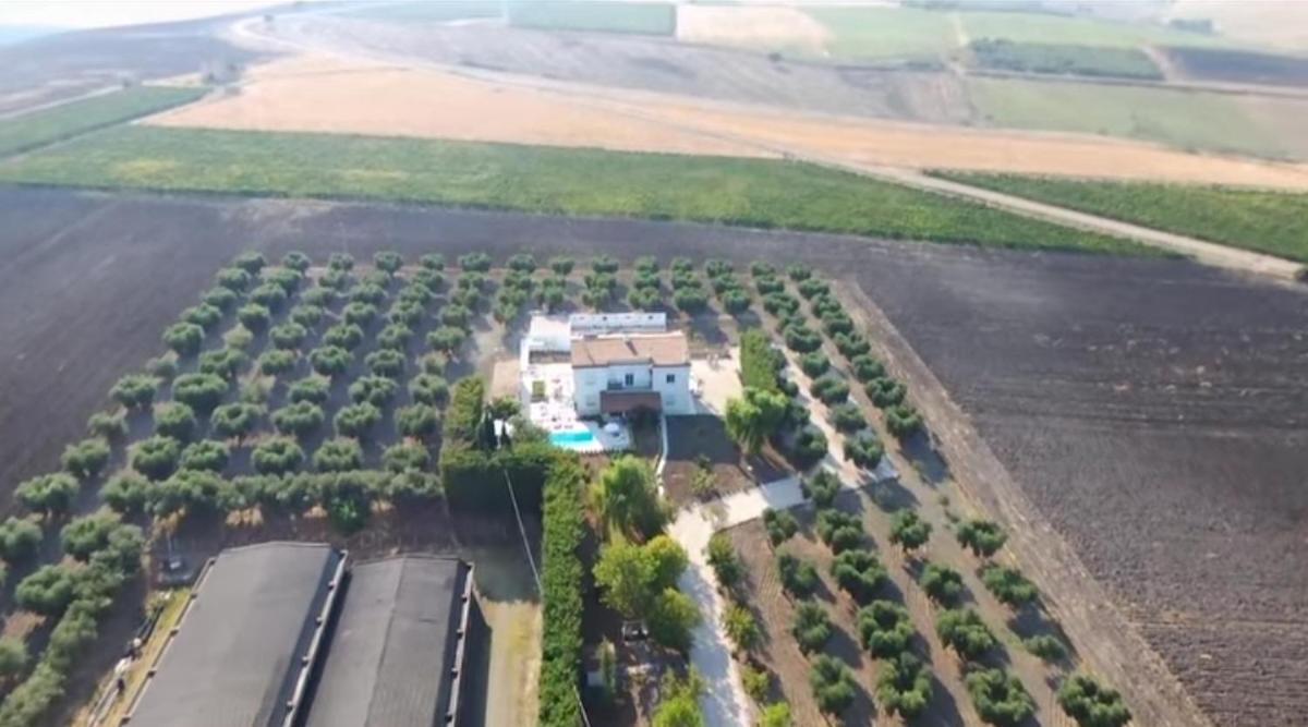 Tenuta Viale Degli Ulivi Gasthuis